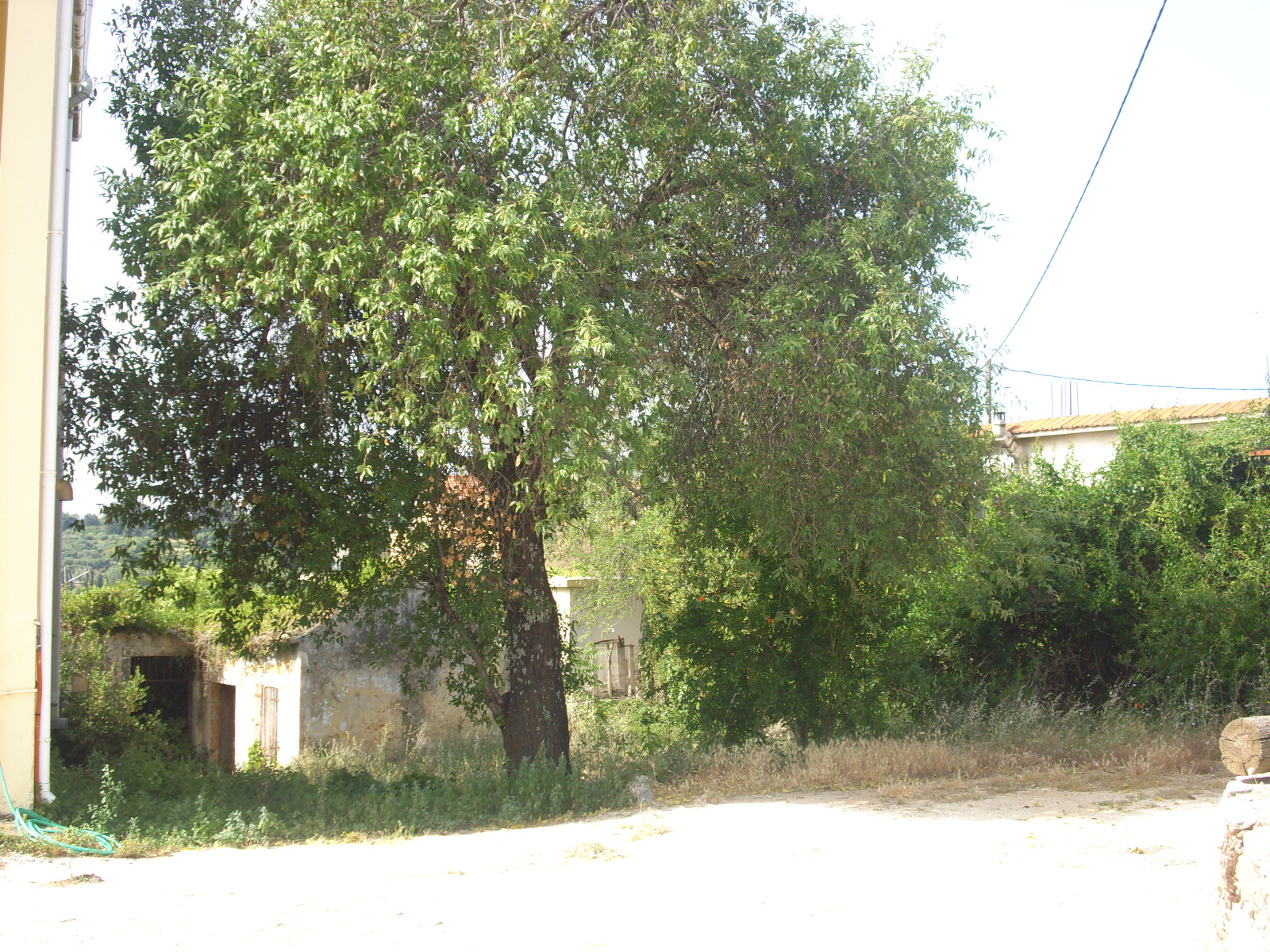 Plot In Keramies Village With Old Building