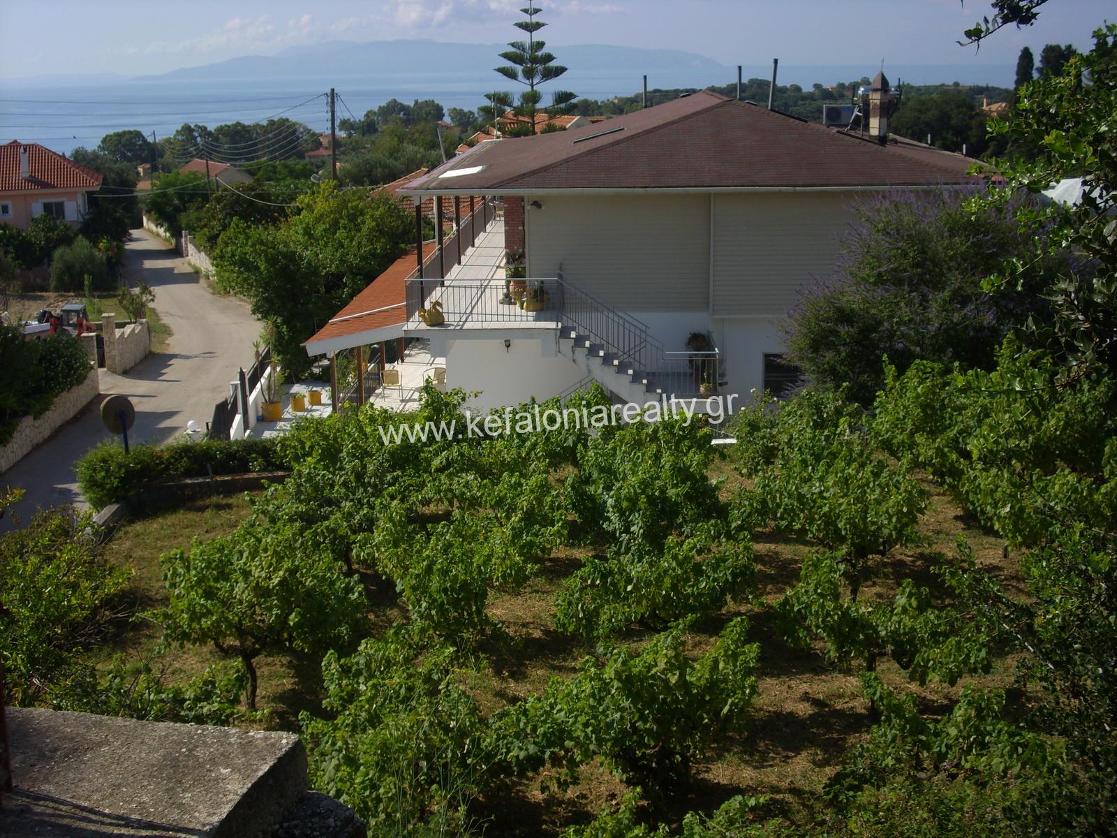 Plot With Vineyard For Sale In Spartia